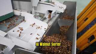 เครื่องคัดแยก AI สำหรับเมล็ดวอลนัท| 1 ผ่าน 8 เกรด ②